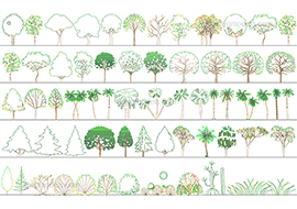 Trees 1 - DWG, CAD Block, drawing