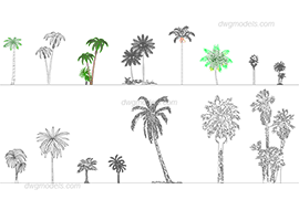 Palms 1 - DWG, CAD Block, drawing