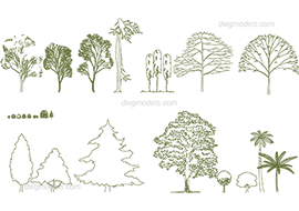 Trees 3 - DWG, CAD Block, drawing