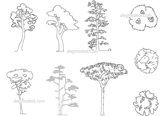 Pines 1 - DWG, CAD Block, drawing