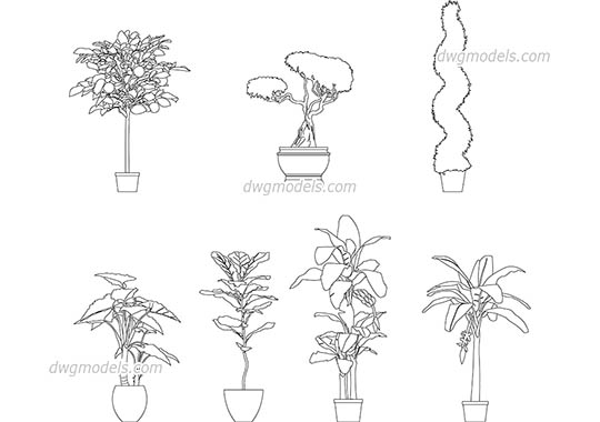 Potted Trees - DWG, CAD Block, drawing